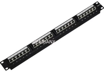 Cat5e 24 Ports Angled Patch Panel 