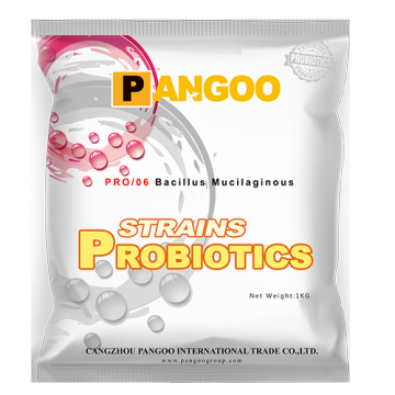 PRO/06 Bacillus Mucilaginous
