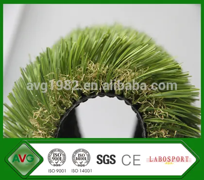 2016 AVG New Product S Shape Upright Ornamental Grasses For Shady Areas