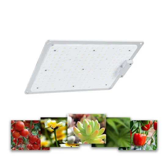 2024 LED Grow Light: Blue Red Bar UMOL Full Spectrum Fixture from China