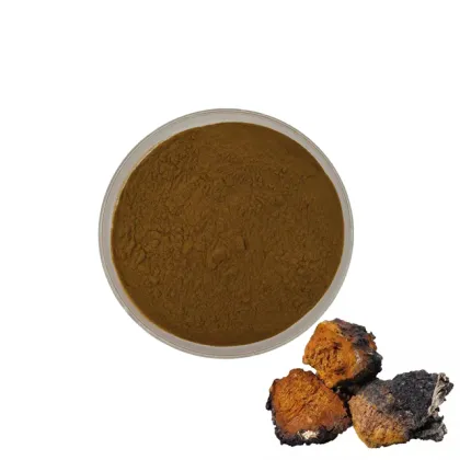 CNCSBIO bulk chaga mushroom extract powder