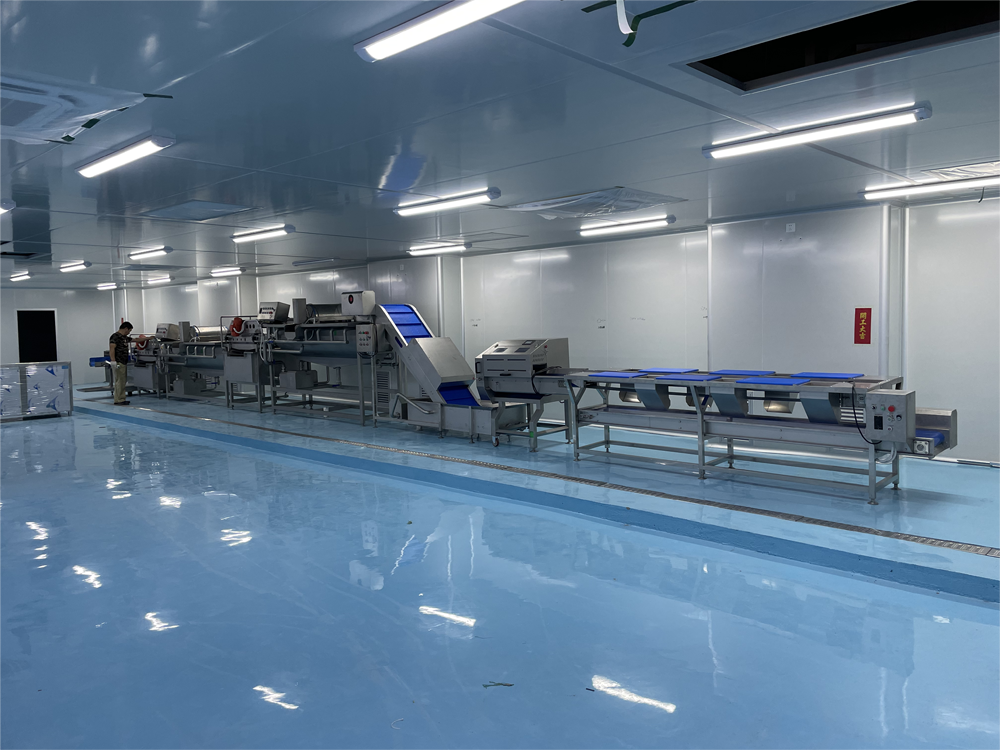 fruit and vegetable processing line fruit and vegetable processing line