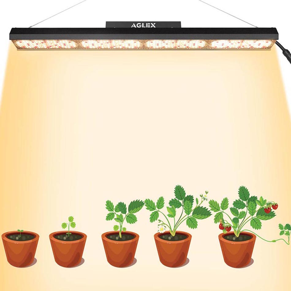Вертикальные светодиодные лампы для выращивания растений полного спектра