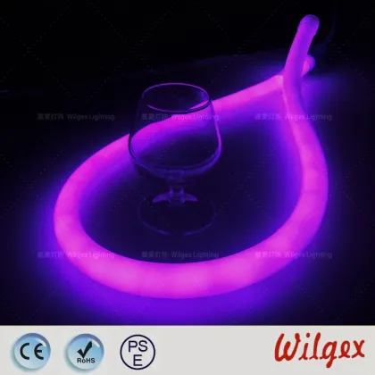 LED Neon Flex Auto