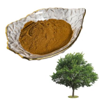 Factory supply high quality Elm extract powder / Elm bark extract powder