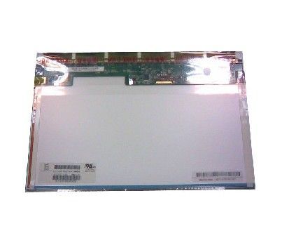 Lt111ee06000 100% New Genuine Lcd Use For Vpcx1