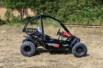 2024 150cc 4-Wheel Gasoline and Electric UTVs
