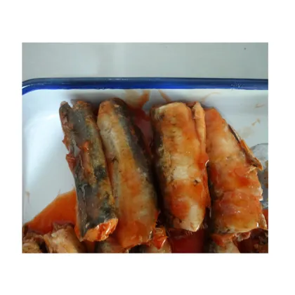 sardine tin can canned sardine in club can,canned pilchards,frozen sardine fish
