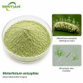 Metarhizium anisopliae Biological Insecticide Supplier