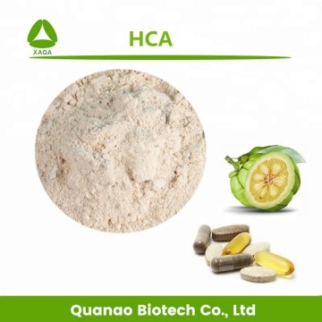 Weight Loss Garcinia Cambogia Fruit Extract Powder HCA