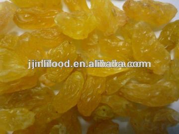 Golden Raisin seedless