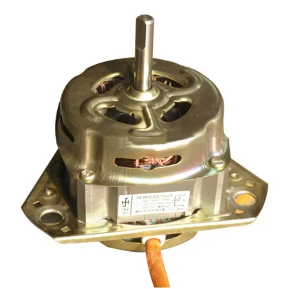 XD150 Washing Machine Motors: BLDC vs AC Induction