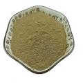 /msite/products/detail/productid/63348535/id/1337107.html