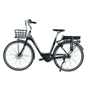 XY-Hera City-E-Bike mit Shimano Nexus