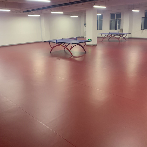 Binnen tafel tennisbaan mat vloer