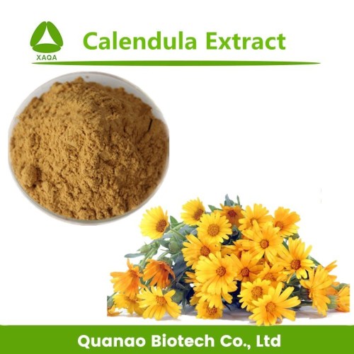 Calendula Flower Extract Dried Calendula Flowers Powder 10:1