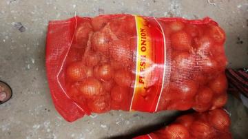 Fresh Gansu yellow onion