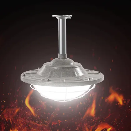 Professional High-Quality LED Explosion-Proof Lighting: 50W and 100W Explosion-Proof Lights