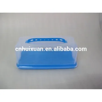 Plastic transparent rectangular toast bread box with handle