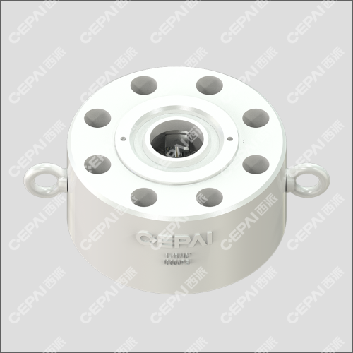 Double plate check valve