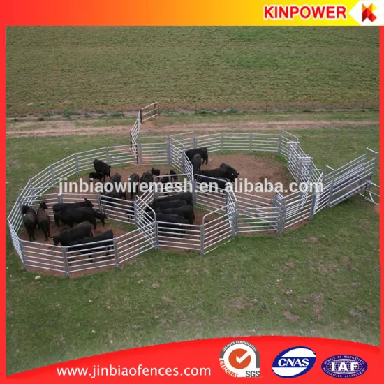 Wholesale Hot dip galvanized Cattle Grow Yards