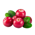Cranberry Extract 5%-60% Proanthocyanidins