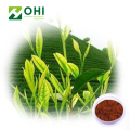 Black Tea Extract Polyphenols Powder