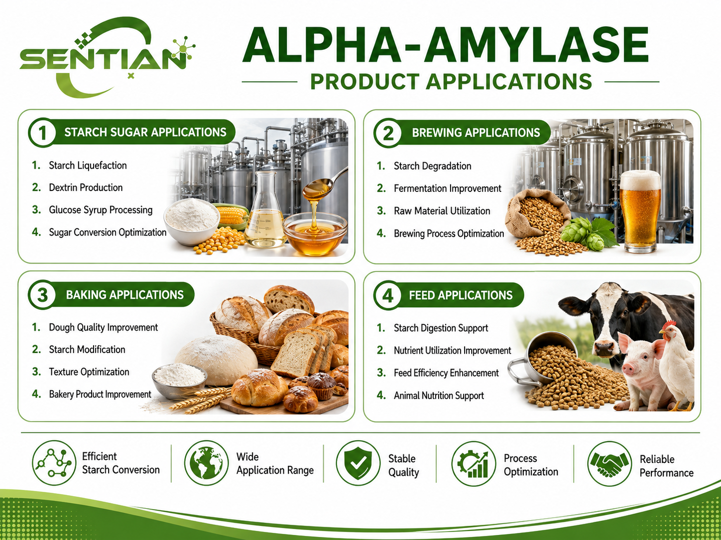Alpha-amylase (2)