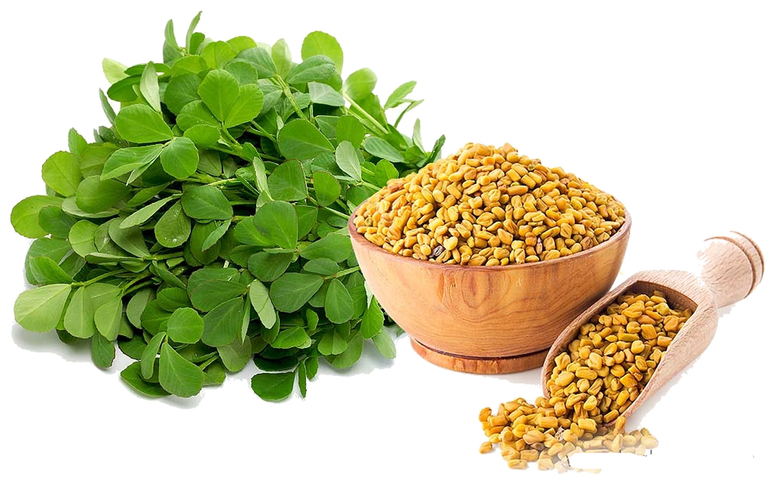 Fenugreek Extract (5)