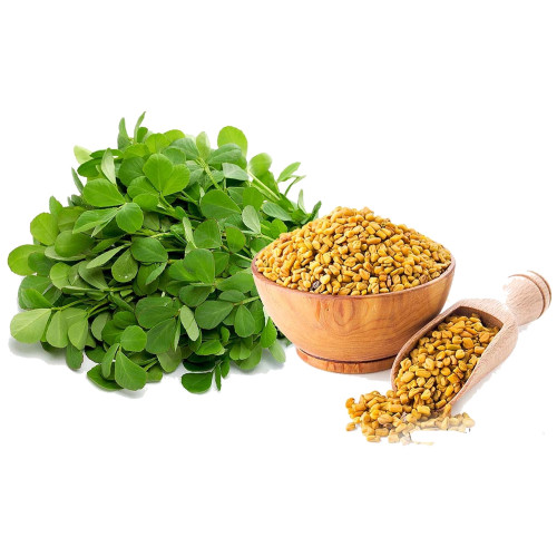 Natural Fenugreek Seed Extract Fenugreek Saponins