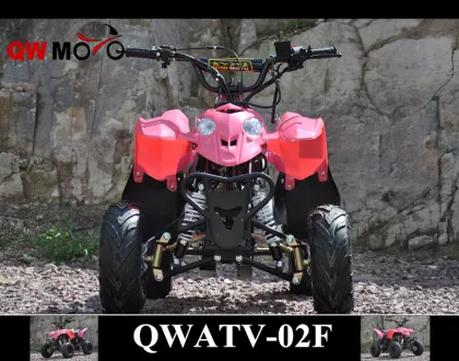 QWMOTO CE 50cc 110cc 125cc China polaris style ATV 110cc Kids polaris ATV