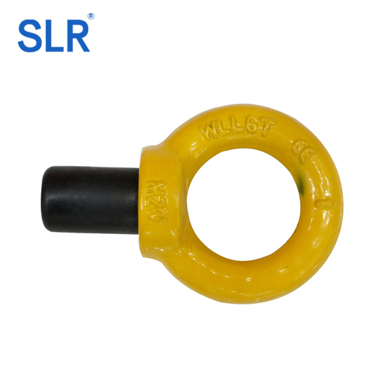 G80 Clevis Slip Hook With Latch Cast