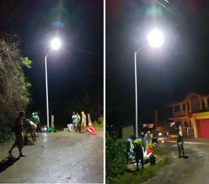 induction street light