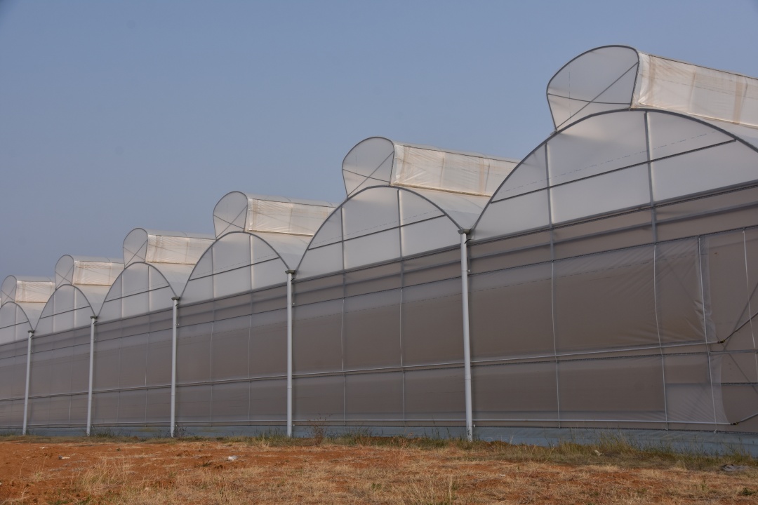 5 greenhouse film peak heat cooling
