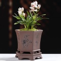 Best Beautiful Asian Orchid Pots For Plant