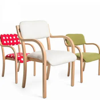 First Touch plywood bent wood chair dining chair AM-1061