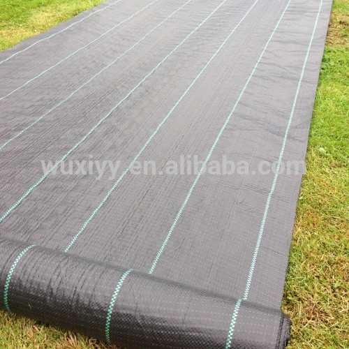 Best Price Good Quality Anti Weed Net/anti Weed Mat / Anti Weed Cloth