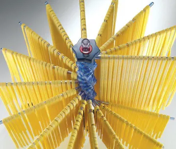 Shule Plastic Fresh Noodle Dryer/Shelf with Blue Color