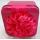 Red square Festive Candy Tin  Box