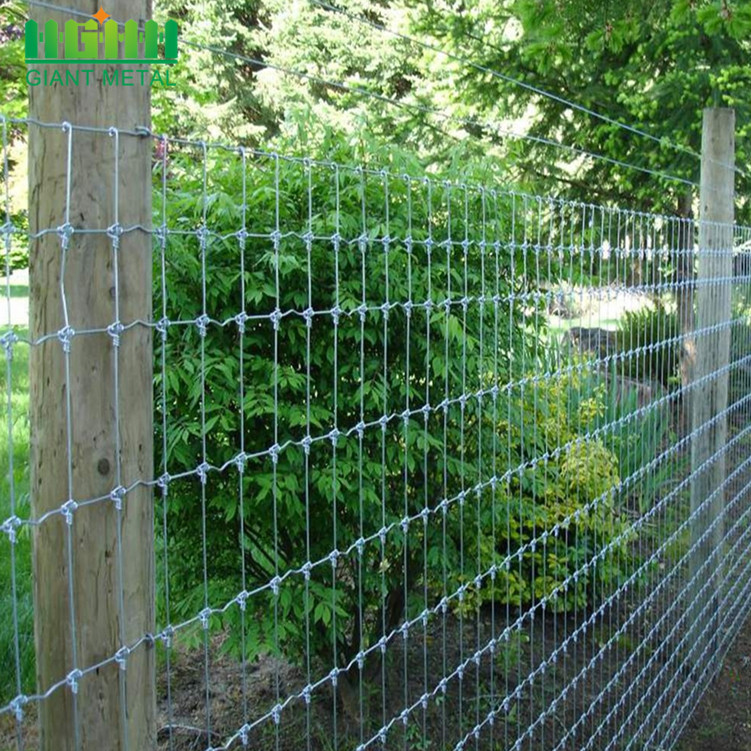 Hot Sale Galvanized  Cheap Farm Fence