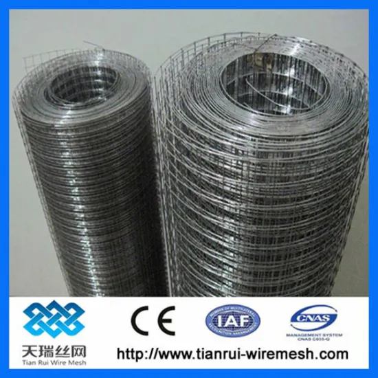 galvanized wire mesh screen (factory)