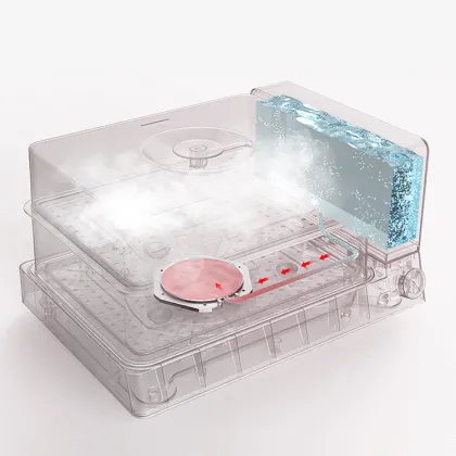 Electrical 2 Layer Multi-Purpose Electric Food Steamer for Kitchen Cookware