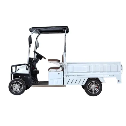 Electric Golf Cart with Cargo Box - Golf Vehicle