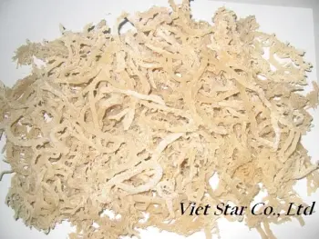 Eucheuma Cottonii seaweed