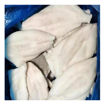 Professional Supplier Fresh Raw Materials Frozen Iqf John Dory Fillets For Custom