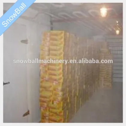 Air Blast Freezer Building Cold Storage Room