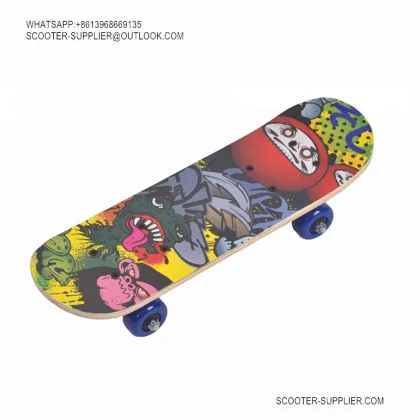 Adult Long Board Skateboard1705