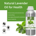 Marjoram Essential Oil Marjoram Oil Price Bulk Marjoram Sweet Oil 100% Pure