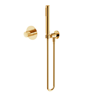 Gold Handheld Shower Head And Faucet