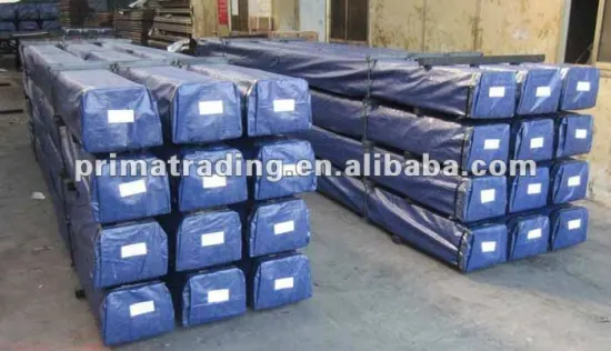 Machined Elevator Guide Rail with protective sheathes protecting both ends